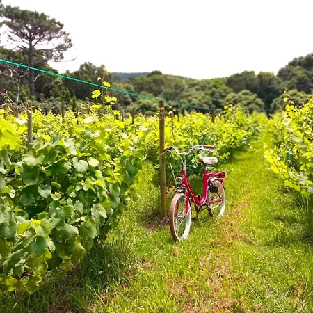 Casas Do Morgadio Villa *