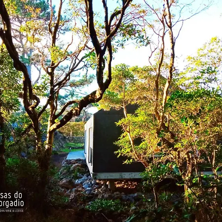 Casas Do Morgadio Villa Biscoitos (Terceira)